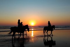 Recorre a caballo hermosos paisajes de Mallorca